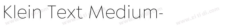 Klein Text Medium字体转换